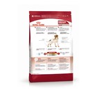 Сухой корм RC Medium Adult для взрослых собак, 3 кг - Фото 2