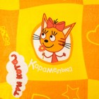 Плед "Павлинка" Три Кота, 170х100, цвет оранжевый, аэрософт 190гм, пэ100% - Фото 2