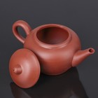 Набор для чайной церемонии керамический «Красная глина», 5 предметов: чайник 200 мл, 4 чашки 25 мл - Фото 2