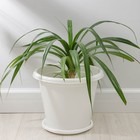 Горшок для цветов с поддоном «Альтернатива. Эконом», 10 л, пластиковый, белый - Фото 1