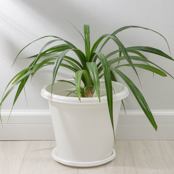 Горшок для цветов с поддоном «Альтернатива. Эконом», 10 л, пластиковый, белый - Фото 1