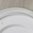 Горшок для цветов с поддоном «Альтернатива. Эконом», 10 л, пластиковый, белый - Фото 6