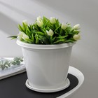 Горшок для цветов с поддоном «Альтернатива. Эконом», 3 л, пластиковый, белый - Фото 1