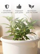 Горшок для цветов с поддоном «Альтернатива. Эконом», 3 л, пластиковый, белый - Фото 3