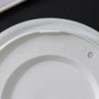 Горшок для цветов с поддоном «Альтернатива. Эконом», 3 л, пластиковый, белый - Фото 6