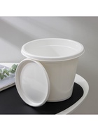 Горшок для цветов с поддоном «Альтернатива. Эконом», 3 л, пластиковый, белый - Фото 7