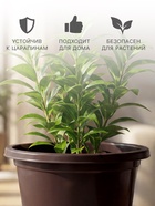 Горшок для цветов с поддоном «Альтернатива. Эконом», 3 л, пластиковый, коричневый - Фото 3