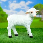 Садовая фигура из полистоуна «Барашек», 31×16×27 см - Фото 7