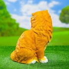 Садовая фигура "Кот персидский сидит" 30см - Фото 3