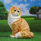 Садовая фигура "Кот персидский сидит" 30см - фото 21824282