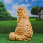 Садовая фигура "Кот персидский сидит" 30см - Фото 5