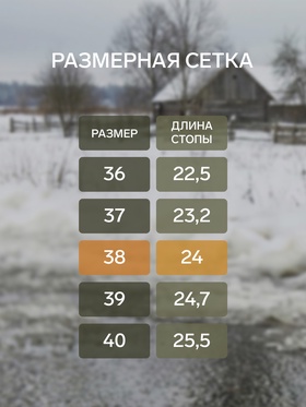 Галоши женские, цвет чёрный, размер 38