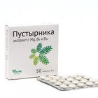 Таблетки Пустырника экстракт с Mg и В6, 50 таблеток по 450 мг - Фото 1