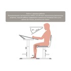 Стул для школьника регулируемый Polini kids City / Polini kids Smart L, цвет серый-макиато - Фото 3