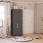 Шкаф двухсекционный Polini kids Simple с 1 ящиком, цвет серый 4244864 - фото 319808477