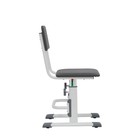 Стул для школьника регулируемый Polini kids City / Polini kids Smart L, цвет белый-серый - Фото 4