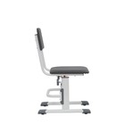 Стул для школьника регулируемый Polini kids City / Polini kids Smart L, цвет белый-серый - Фото 5
