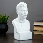 Бюст Сталина, белый 12х24см - Фото 1
