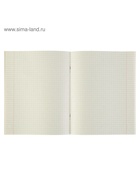 Предметная тетрадь по английскому языку Calligrata «Чёрное-белое», 48 листов, в клетку, со справочным материалом, бумажная обложка - Фото 5