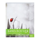 Набор предметных тетрадей 48 листов, Calligrata "Чёрное-белое", 10 предметов, серые листы 3941479 - фото 1837456