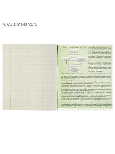 Предметная тетрадь по биологии Calligrata «Чёрное-белое», 48 листов, в клетку, со справочным материалом, бумажная обложка