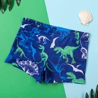Плавки купальные для мальчика KAFTAN "Динозавры" рост 110-116 (32), цвет синий - фото 25101239