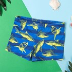 Плавки купальные для мальчика KAFTAN «Акулы», рост 98-104 (30), цвет синий - фото 301269861