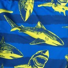 Плавки купальные для мальчика KAFTAN «Акулы», рост 98-104 (30), цвет синий - Фото 2