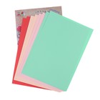 Папка для пастели А4, 8 листов, 4 цвета "Страна чудес. Сон в маковом поле", блок 160 г/м² - Фото 2