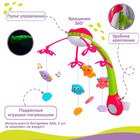 Мобиль музыкальный «Яркие птички», с ночником + пульт, цвет МИКС - Фото 2