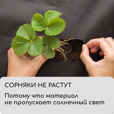 Материал мульчирующий, с перфорацией, 5×1.6 м, плотность 80 г/м², спанбонд с УФ-стабилизатором, 2 ряда перфорации, чёрный, Greengo, Эконом 30%