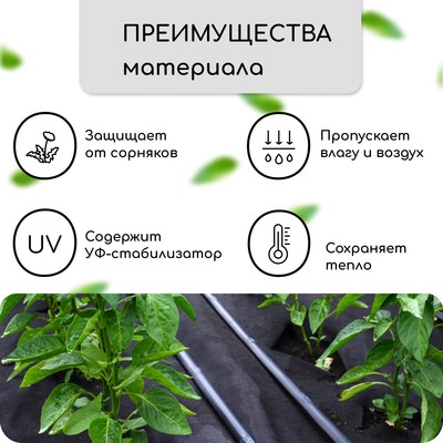 Материал мульчирующий, с перфорацией, 5×1.6 м, плотность 80 г/м², спанбонд с УФ-стабилизатором, 2 ряда перфорации, чёрный, Greengo, Эконом 30%