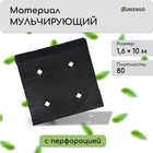 Материал мульчирующий, с перфорацией, 10 × 1,6 м, плотность 80 г/м², спанбонд с УФ-стабилизатором, чёрный, Greengo, Эконом 20% - фото 10800287