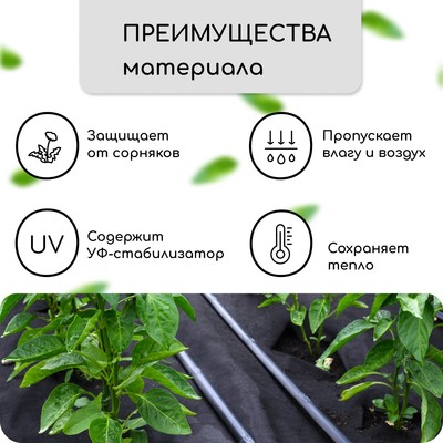 Материал мульчирующий, с перфорацией, 10×1.6 м, плотность 80 г/м², спанбонд с УФ-стабилизатором, чёрный, Greengo, Эконом 30%