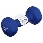 Гантель неопреновая ONLITOP, 3 кг, цвета МИКС - Фото 2