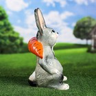 Садовая фигура "Заяц с морковкой", 42 см, микс - Фото 2