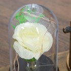 Песочные часы "Роза", сувенирные, с подсветкой, 15 х 9 х 14 см, микс - Фото 6