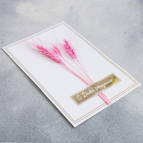 Открытка поздравительная «С Днём рождения!», 12 ? 18 см (комплект 2 шт)