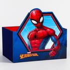 Органайзер для канцелярии, 15×10×8 см, «Человек-паук» - Фото 4