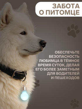 Маячок световой на ошейник для больших и средних собак, фасовка 12 шт., мультицвет (комплект 12 шт)