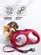 Рулетка с принтом "Милашка", 5 м, вес животного до 15 кг, красная 2603405