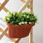 Кашпо для цветов на водосточную трубу IDEA «Алиция», 3.5 л, пластик, коричневый - Фото 4