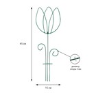 Шпалера, 45×15×0.3 см, металл, зелёная, «Тюльпан», цвет МИКС - Фото 1