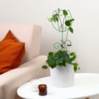 Шпалера, 45×15×0.3 см, металл, зелёная, «Тюльпан», цвет МИКС - Фото 2