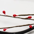 Декор тинги "Ягодки" 150 см, микс - фото 44080536