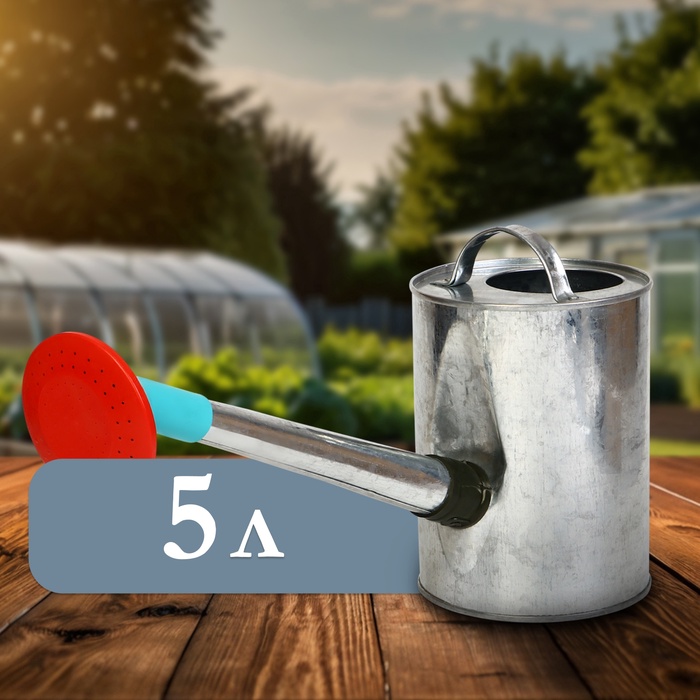 Лейка с длинным носиком, 5 л, с рассеивателем, оцинкованная, без рисунка, носик d=25 мм - Фото 1