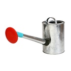 Лейка с длинным носиком, 5 л, с рассеивателем, оцинкованная, без рисунка, носик d=25 мм - Фото 2