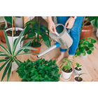 Лейка с длинным носиком, 5 л, с рассеивателем, оцинкованная, без рисунка, носик d=25 мм - Фото 8