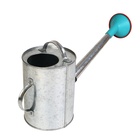 Лейка с длинным носиком, 5 л, с рассеивателем, оцинкованная, без рисунка, носик d=25 мм - Фото 3