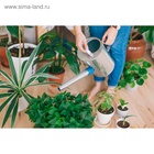 Лейка с длинным носиком, 5 л, с рассеивателем, оцинкованная, без рисунка, носик d=25 мм - Фото 9